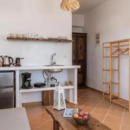 Апартаменты Syros Chryssonisos